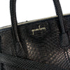 Bajia Bag 2.0 - Python