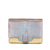iPad Tablet Case - Python