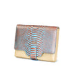 iPad Tablet Case - Python