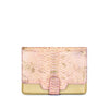 iPad Tablet Case - Python